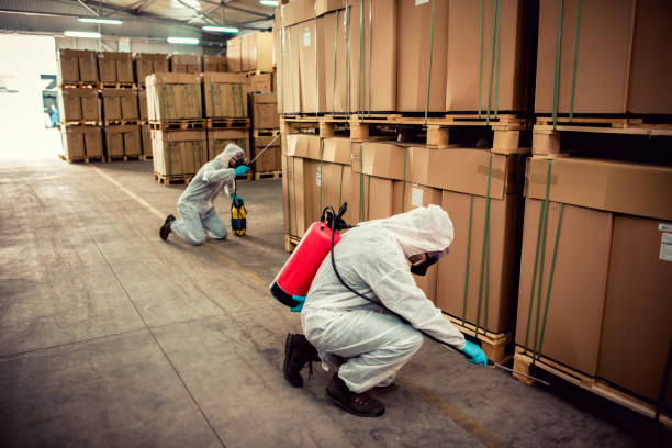 Best Pest Control Near Me  in Orange Beach, AL