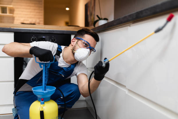 Best Mosquito Control Services  in Orange Beach, AL