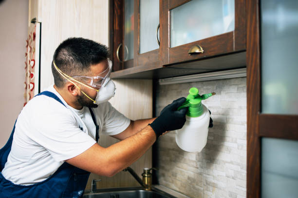 Best Emergency Pest Control  in Orange Beach, AL