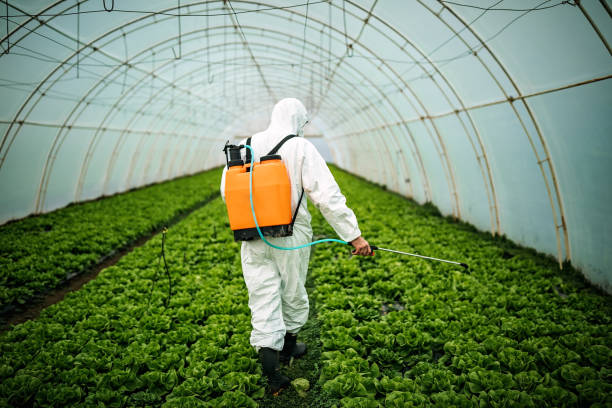 Best Pest Inspection Near Me  in Orange Beach, AL