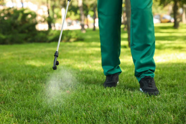 Best Wasp Removal Services  in Orange Beach, AL
