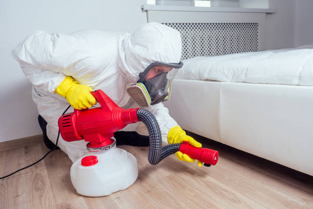 Trusted Orange Beach, AL Pest Control Experts