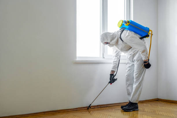 Best Affordable Pest Control Services  in Orange Beach, AL
